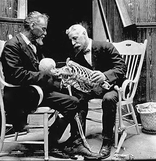 Osteopatia